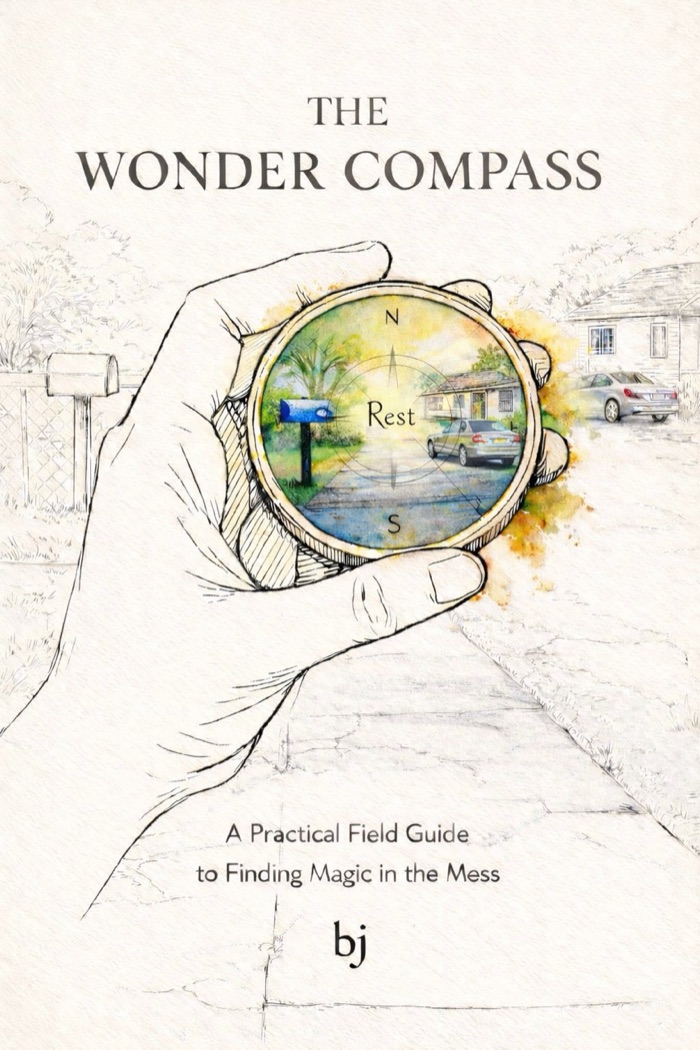 The Wonder Compass - A Practical Field Guide to Finding Magic in the Mess